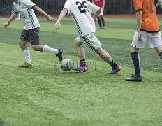 葡萄园秘籍,双色球第,期大揭秘,江苏体彩,江苏体彩网,江苏体彩网官网,体育彩票,体彩大乐透,竞彩足球,体彩公益