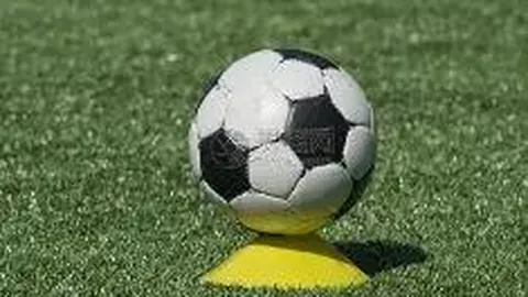 【双色球秘籍】东北彩民力荐：25141期必中龙头号码大揭秘——12号、13号，惊喜连连等你来！