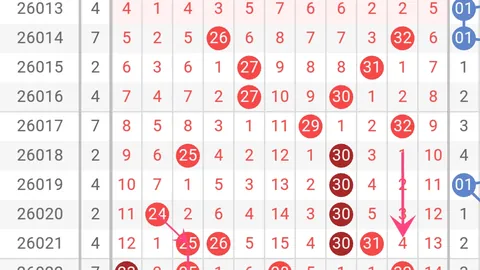 福彩3D马王2026079期专家推荐字谜分析